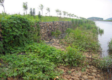 주문 낮은 탄소 뜨거운 담궈진 직류 전기를 통한 용접한 철망사 PVC는 저항한 높은 부식을 위해 - 입혔습니다 온라인 제조