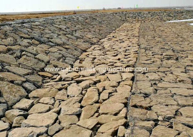 주문 돌망태 직업적인 상자 가파른 언덕 일렬로 세우기를 위한 100 x 120mm 매쉬의 크기 온라인 제조